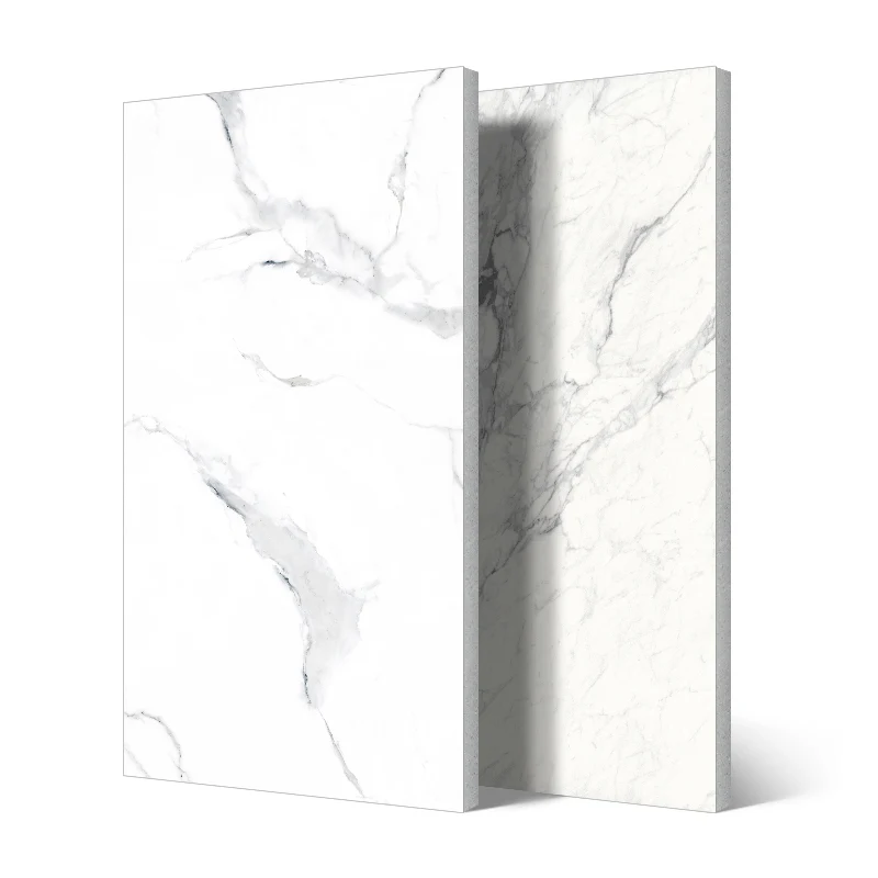 Carreaux muraux extérieurs en porcelaine