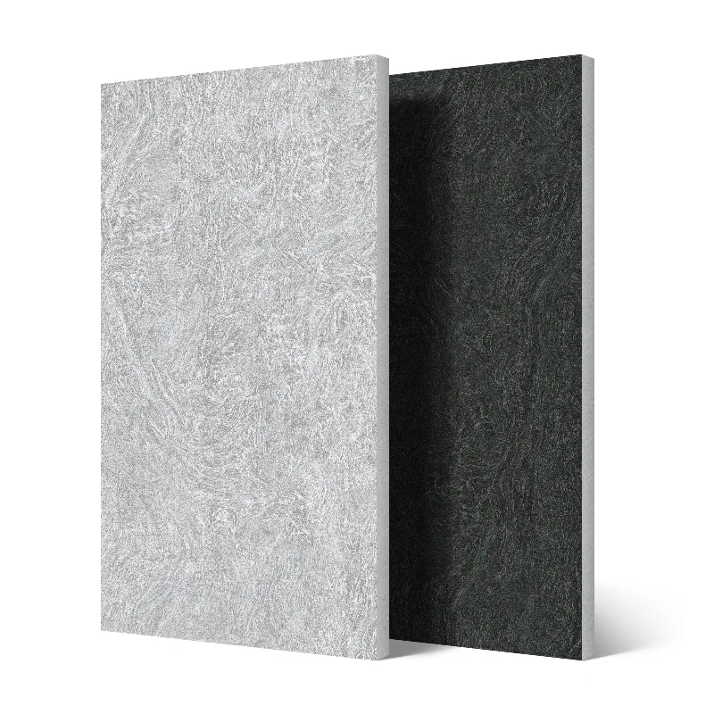 Carreaux muraux extérieurs en porcelaine