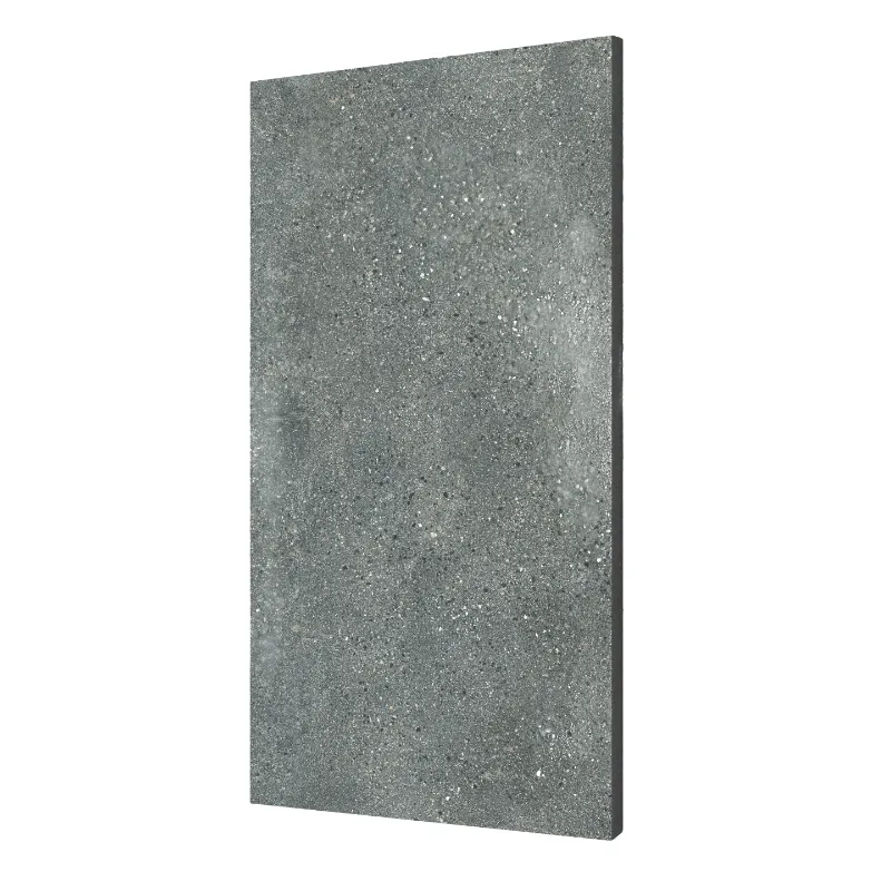Carreaux muraux extérieurs en ardoise